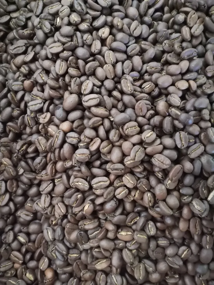 Freshly roasted coffee beans