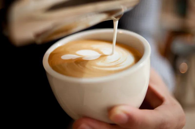 Steamed milk poured into a cup, latte art forming